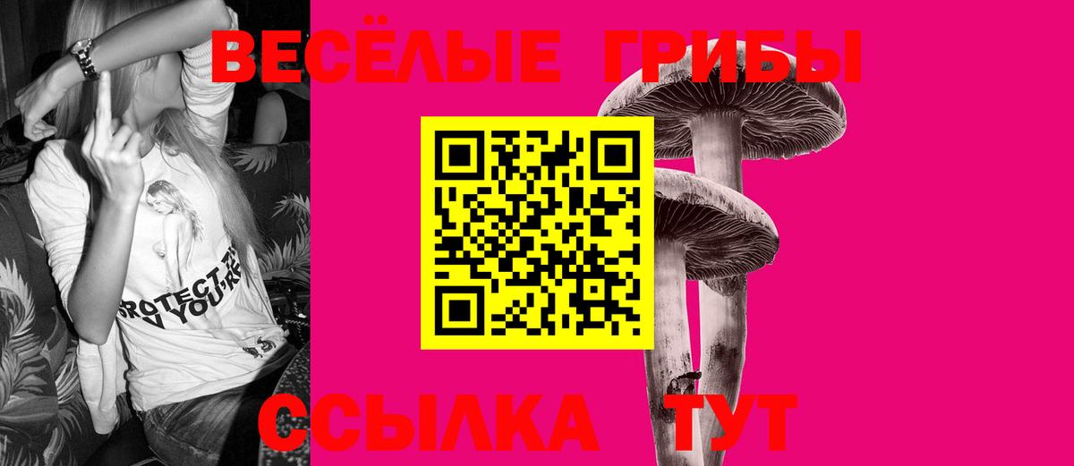 Псилоцибиновые грибы MAGIC MUSHROOMS  Псилоцибиновые грибы Magic Shrooms  Вход с VPN  Краснодар 
